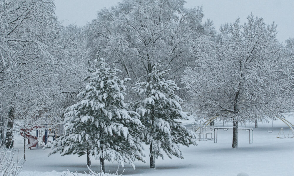 Columbia Park Winter
