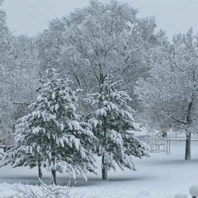 Columbia Park Winter