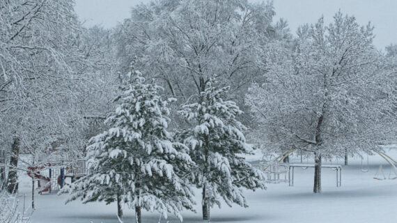 Columbia Park Winter