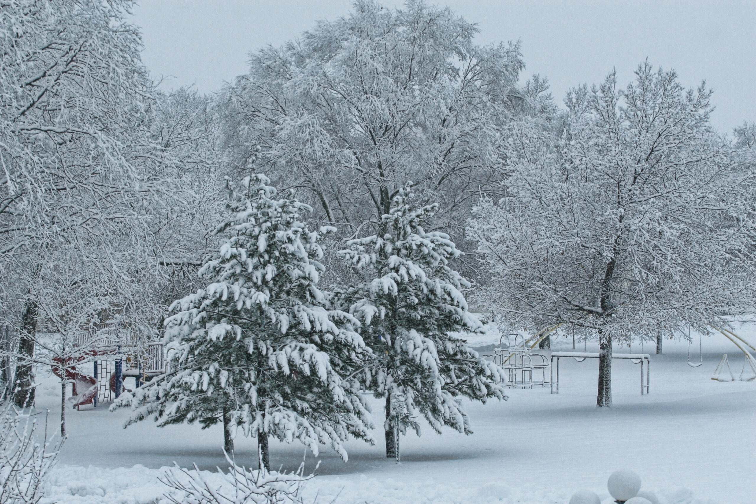 Columbia Park Winter