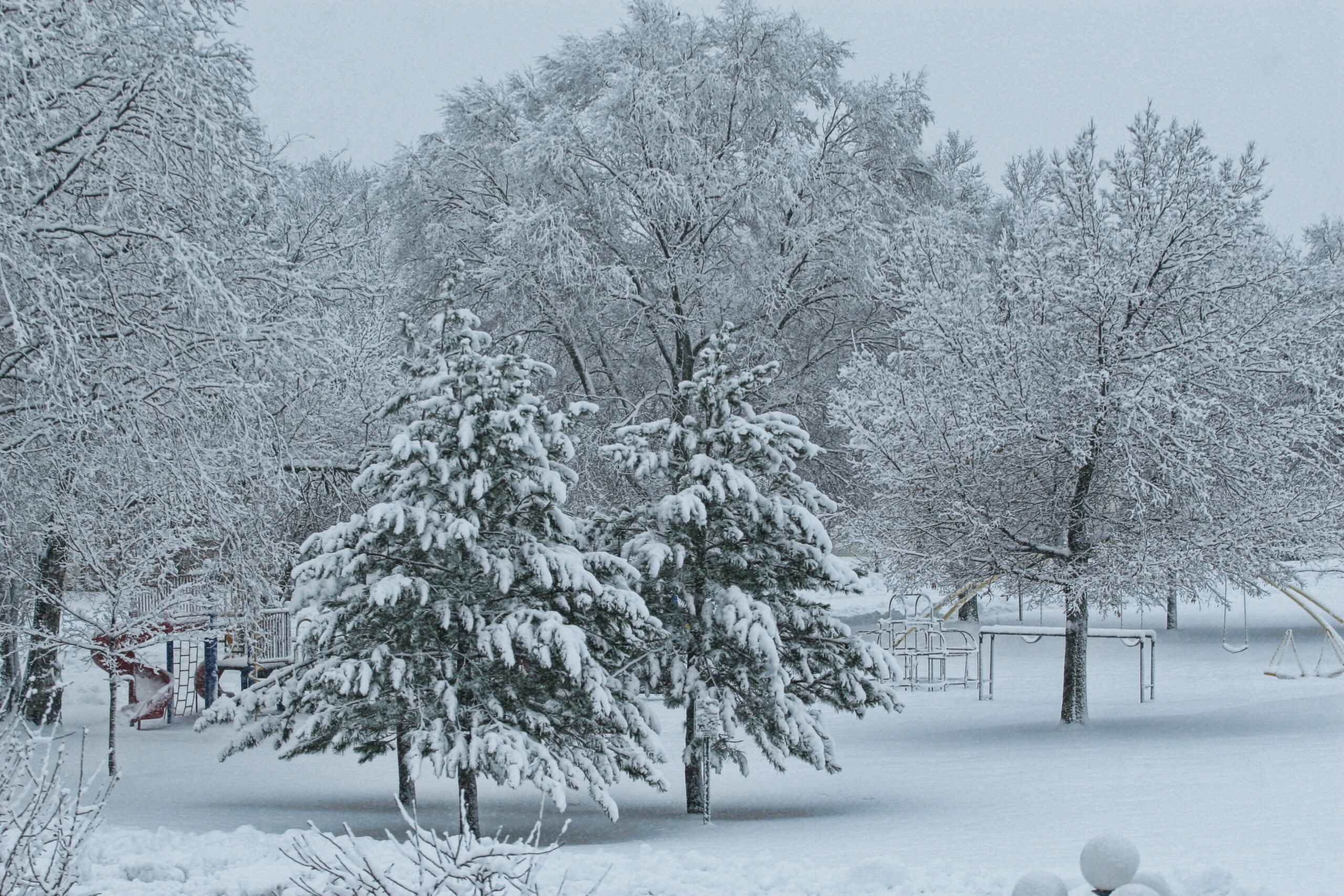 Columbia Park Winter