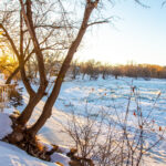 Maple Island Park