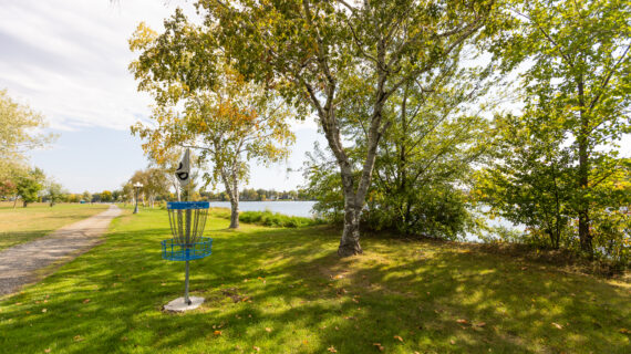 Disc Golf on the Mississippi River