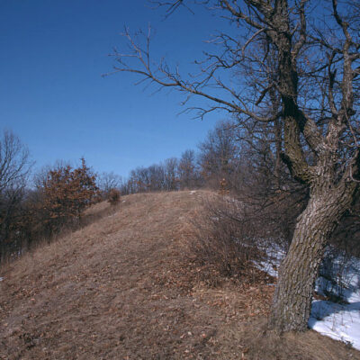 The Ripley Esker