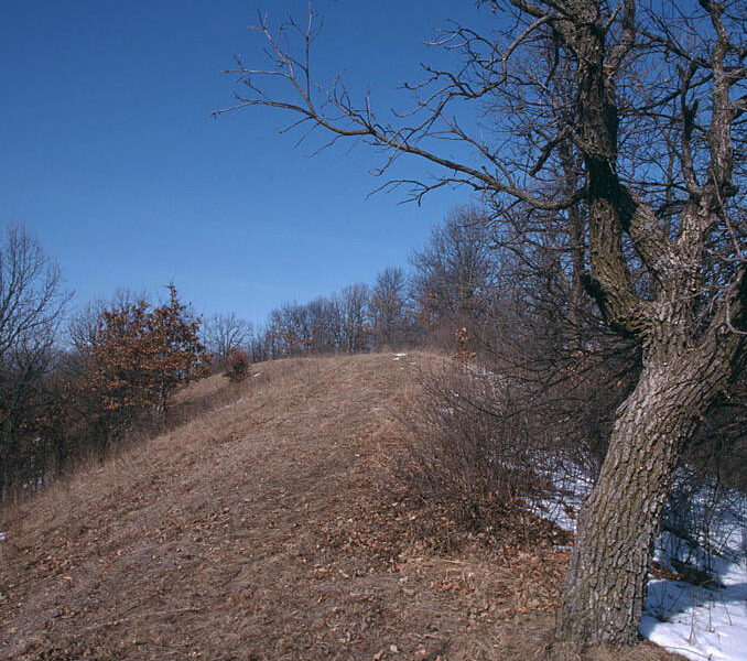 The Ripley Esker