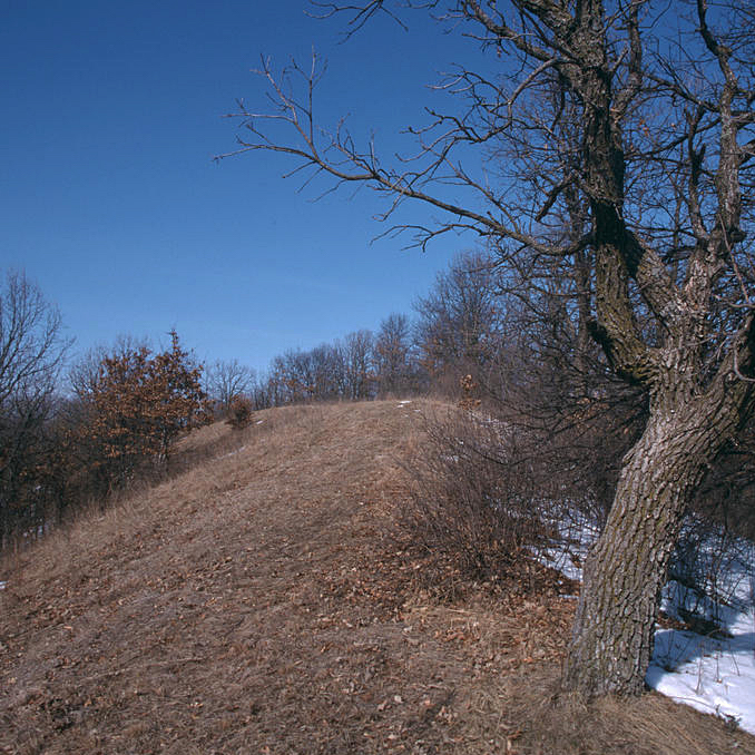 The Ripley Esker