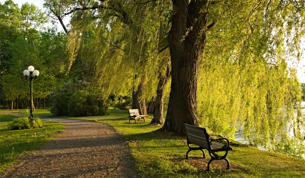 little falls park