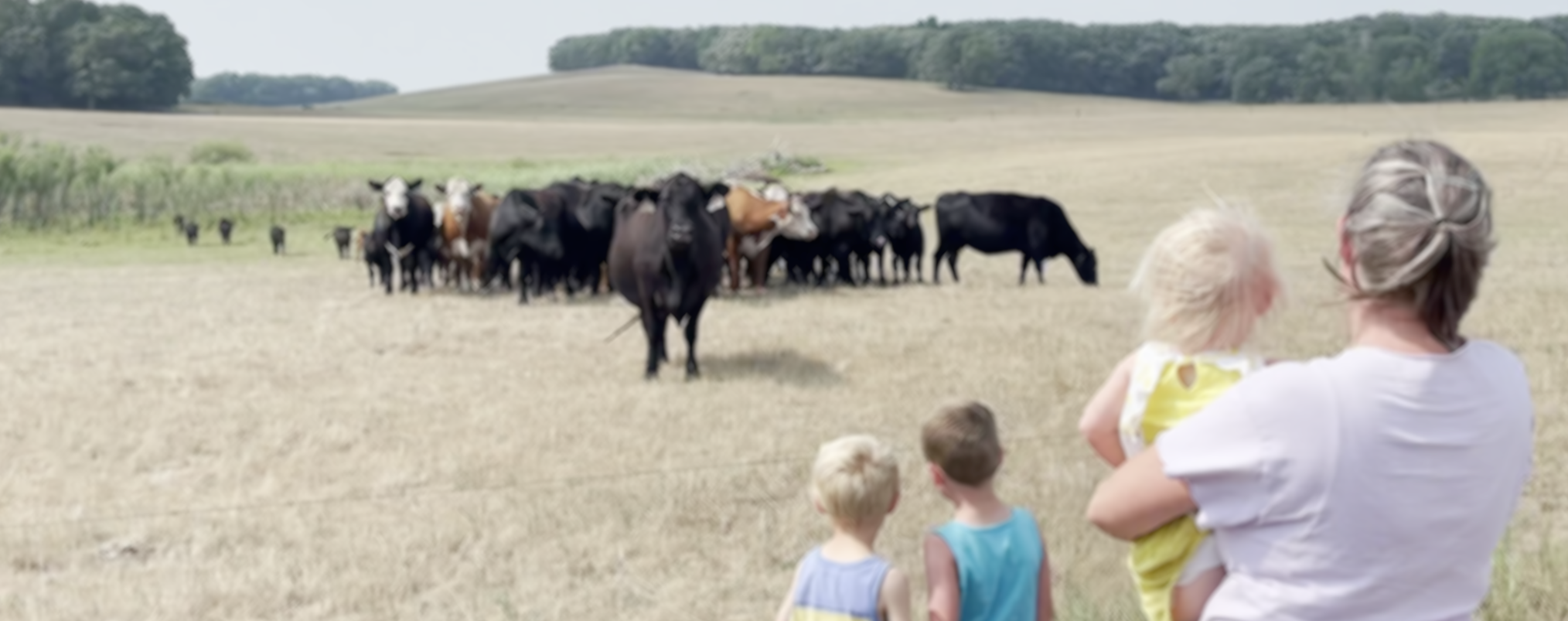 FARM: Free Theater Performance