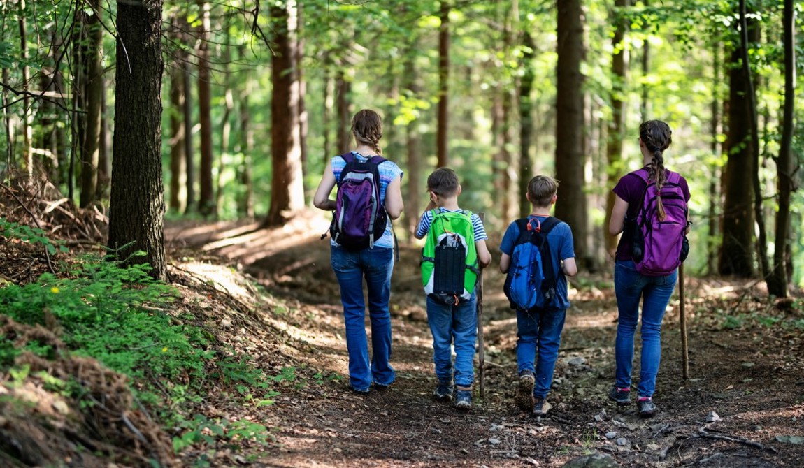 Kids Hiking