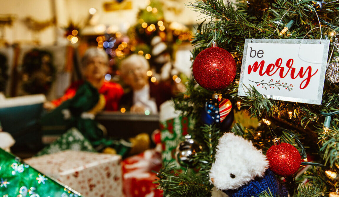 Christmas Tours
