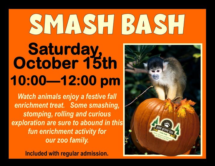 Smash Bash