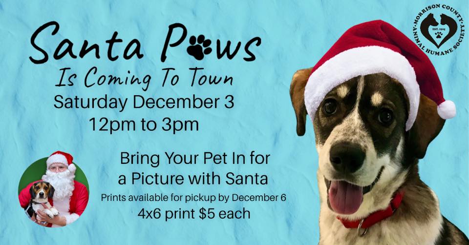 Santa Paws