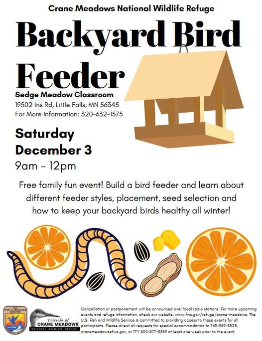Backyard Bird Feeder