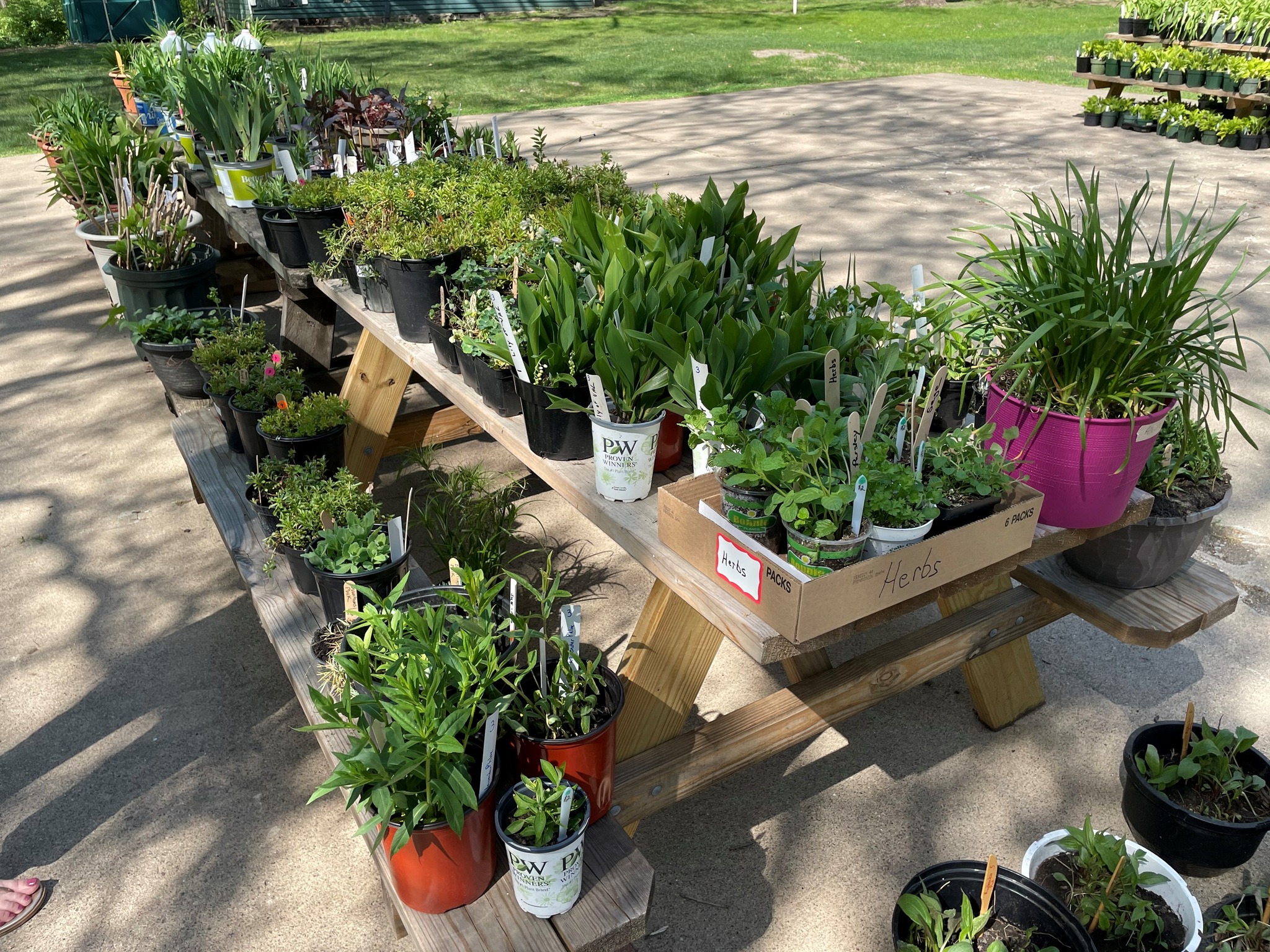 Plant Sale