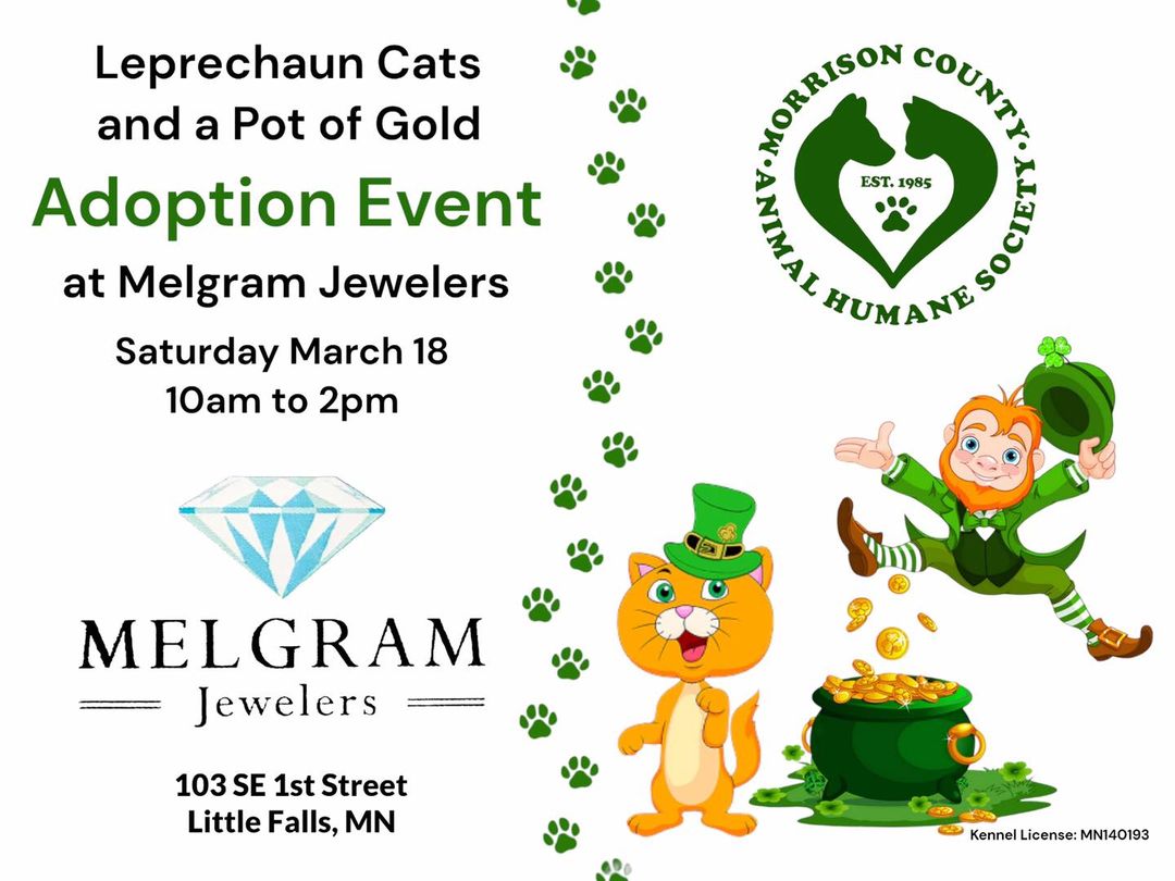 Adoption Event