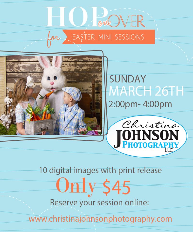 Easter Bunny Mini Series