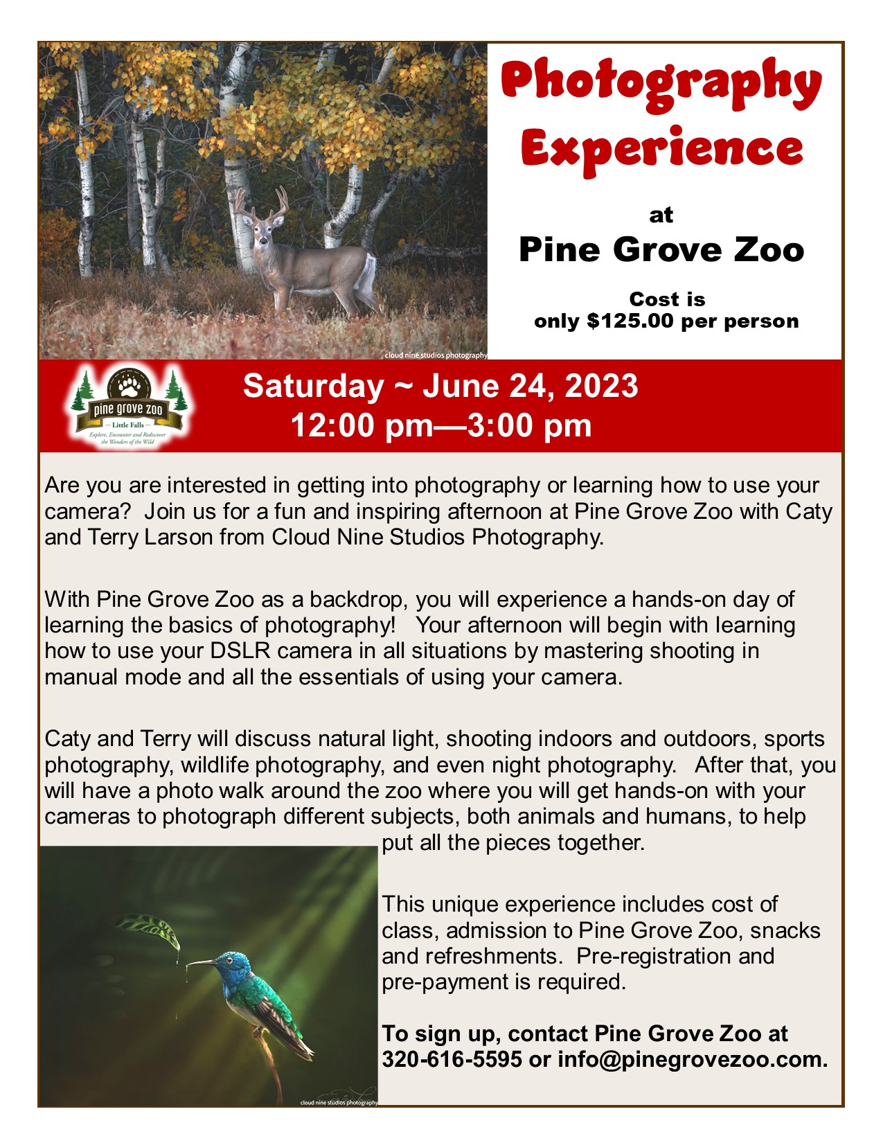 Photography Class and Experience