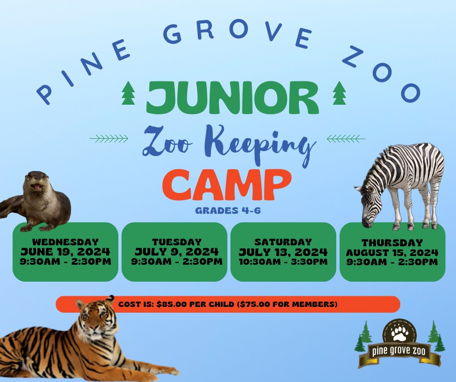 Junior Zoo Keeping Camp