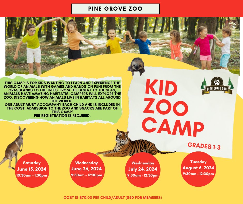 Kid Zoo Camp