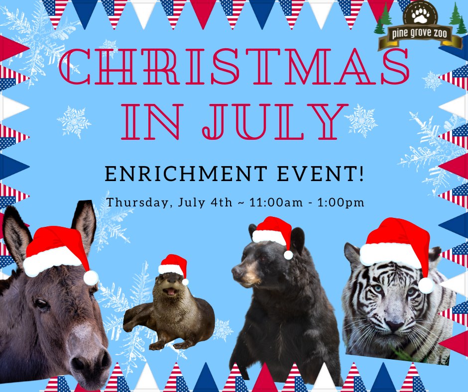 July 4th Enrichment Event