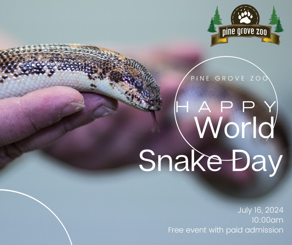 World Snake Day