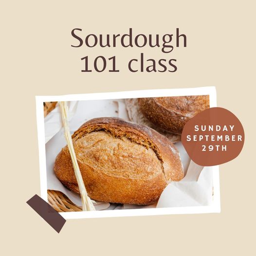 Sourdough 101 Class