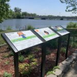 Wayfinding Project