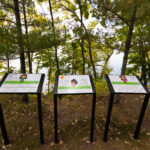 Wayfinding Project