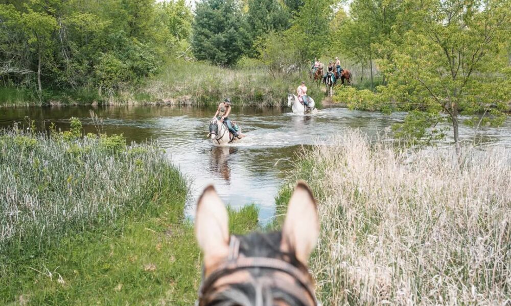Mielke Farm Horse Trail Ride