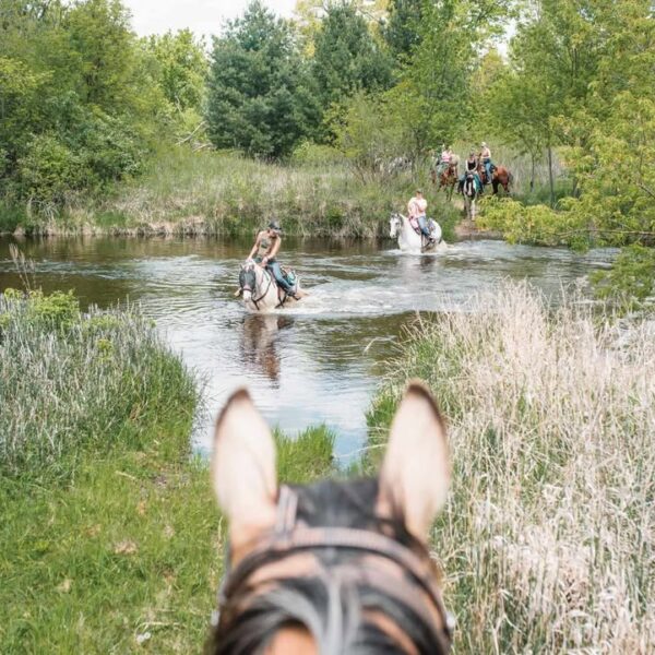 Mielke Farm Horse Trail Ride