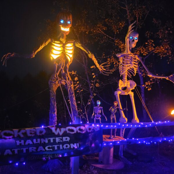 Wicked Woods